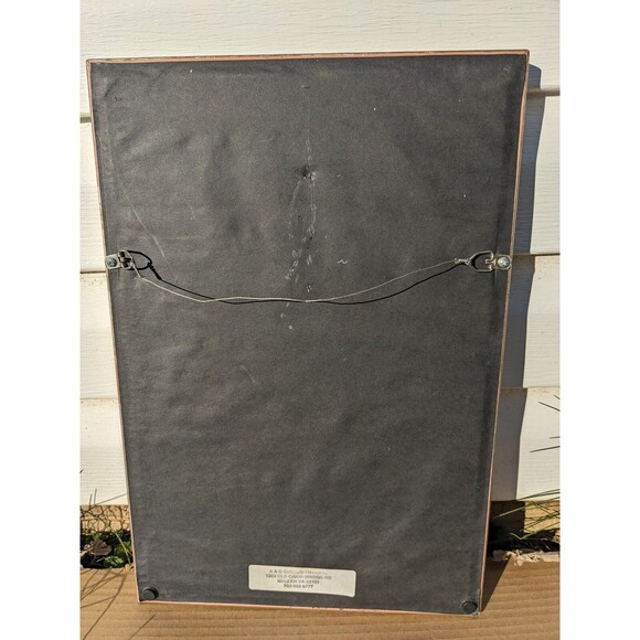 Vtg 70s Parrot Picture Handmade From Butterfly Wings African Art Framed W/Glass - Picture 8 of 10